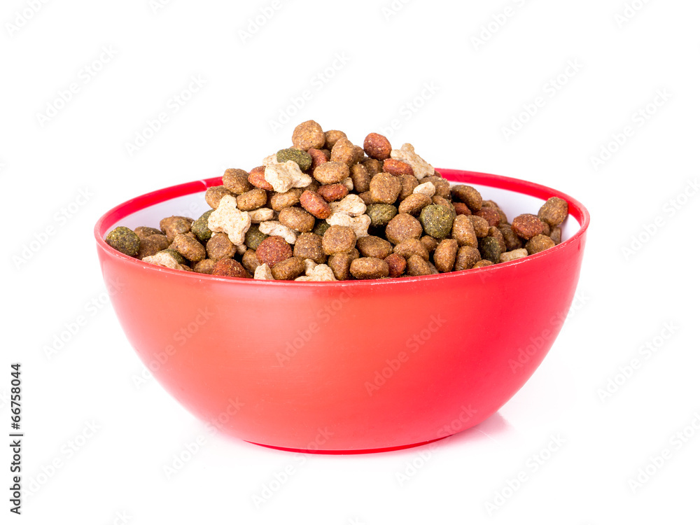 Dog food Dog food