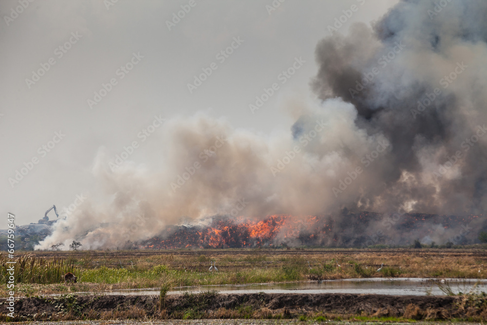 Fototapeta premium Burning garbage heap of smoke