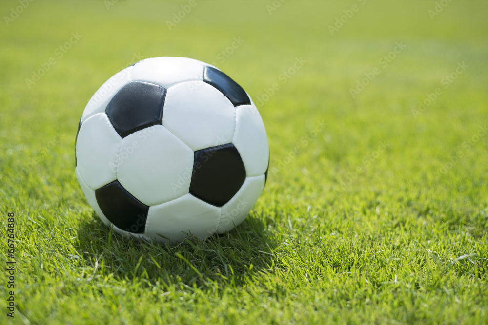 Classic soccer ball on fresh green lawn