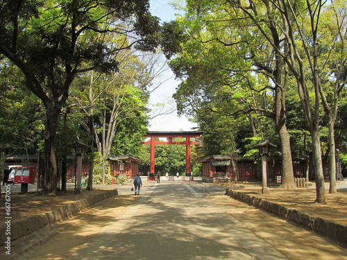 並木道と鳥居