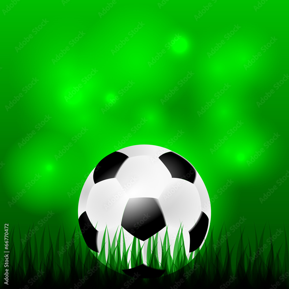 Fototapeta premium Soccer ball