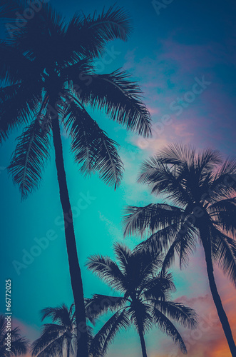 Retro Sunset Hawaii Palm Trees #66772025