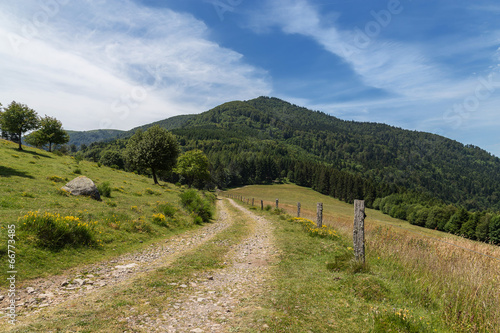 chemin au sommet