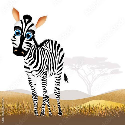 Fototapeta Naklejka Na Ścianę i Meble -  Zebra in African landscape