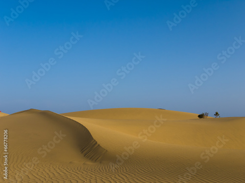 Die Dünen von Maspalomas auf Gran Canaria