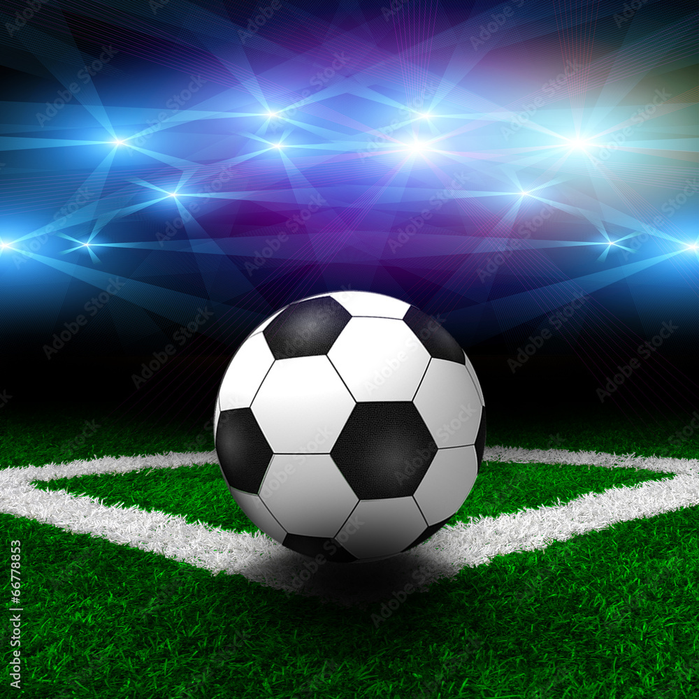 Obraz premium The soccer field.