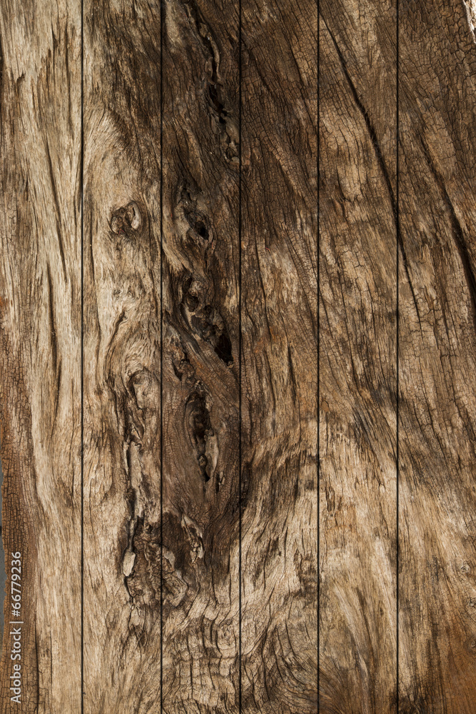 Wood texture show line and material of natural