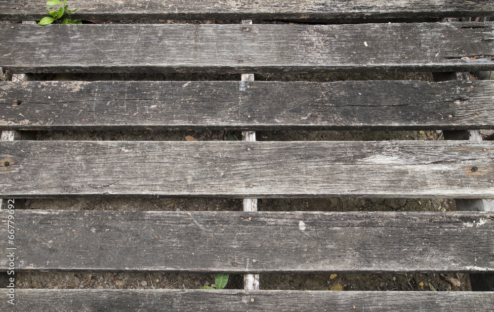 Wood texture show line and material of natural Wood texture show line and material of natural