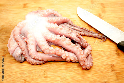 Slicing Raw Octopus for a Gourmet Dinner