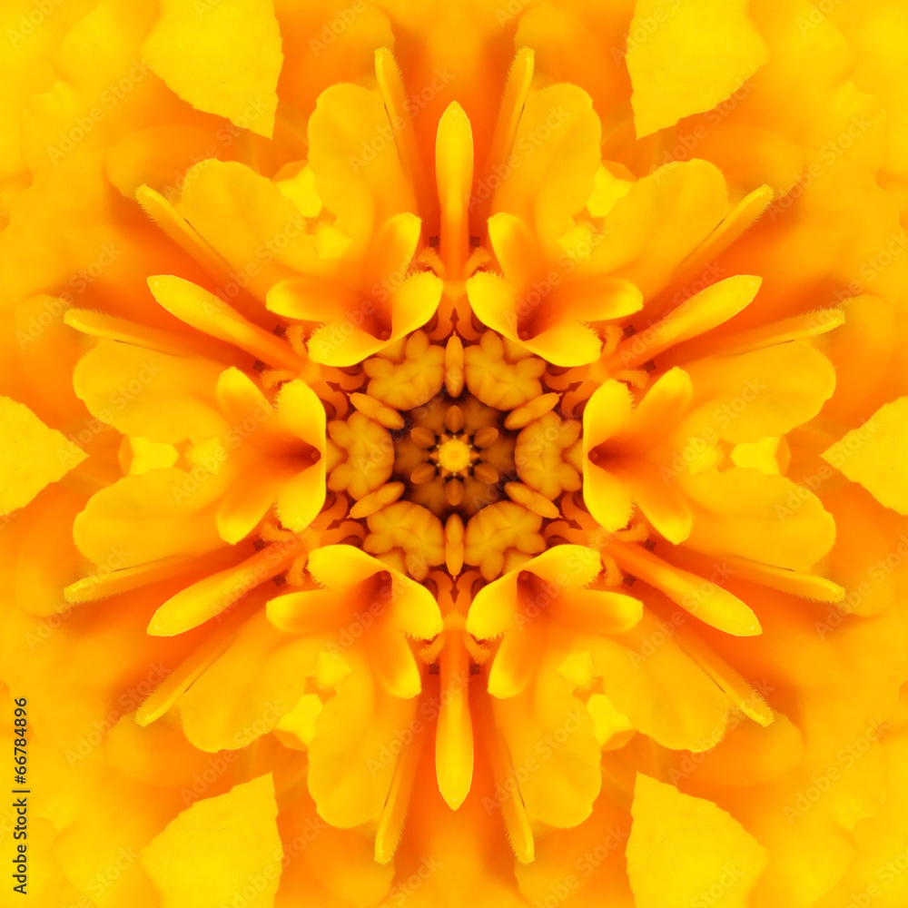 Yellow Mandala Concentric Flower Center Kaleidoscope Yellow Mandala Concentric Flower Center Kaleidoscope