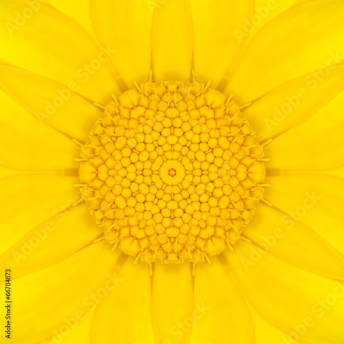 Yellow Mandala Concentric Flower Center Kaleidoscope