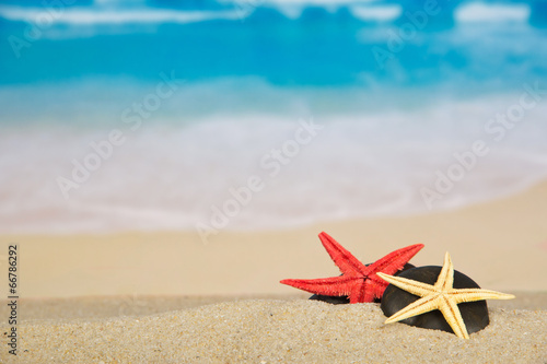 Pebbles and starfish on sand
