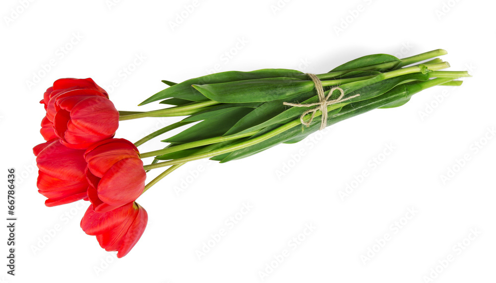 Bouquet of tulips with a rope