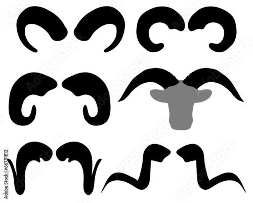Black silhouettes of buffalo horns, vector illustration