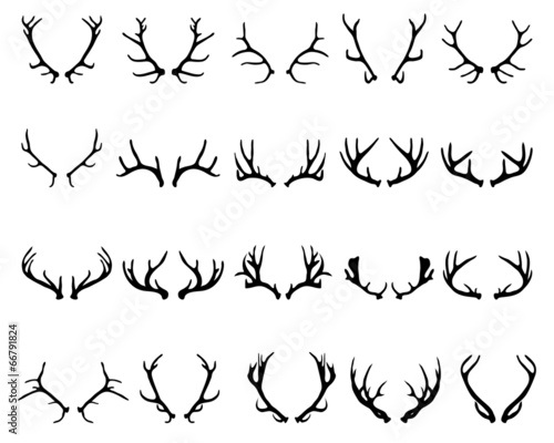 Fotótapéta Black silhouettes of antlers of deer , vector