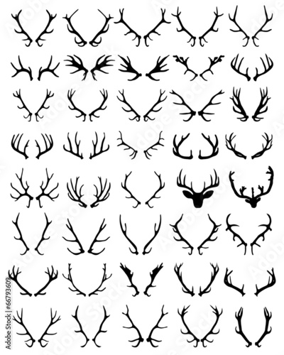 Fotografie, Tablou Black silhouettes of different deer horns, vector