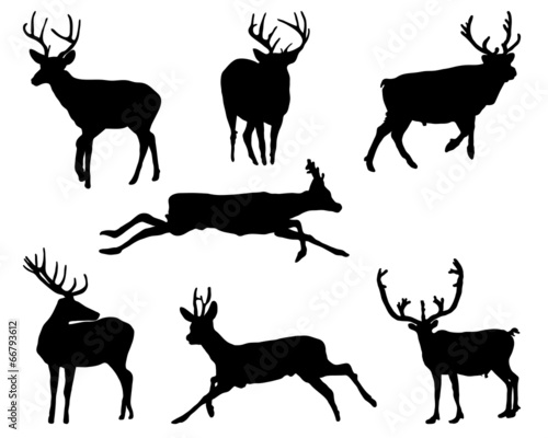 Black silhouettes of deers, vector