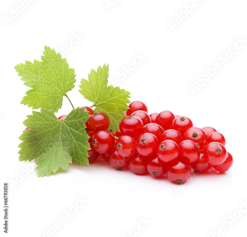 Johannisbeeren