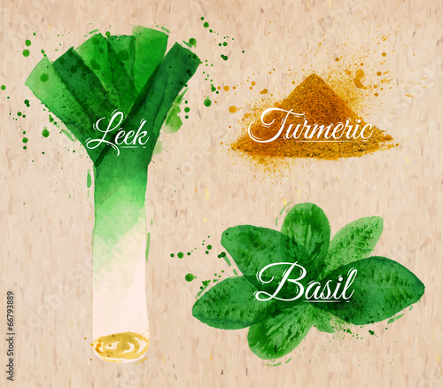 Spices herbs watercolor leeks, basil, turmeric kraft