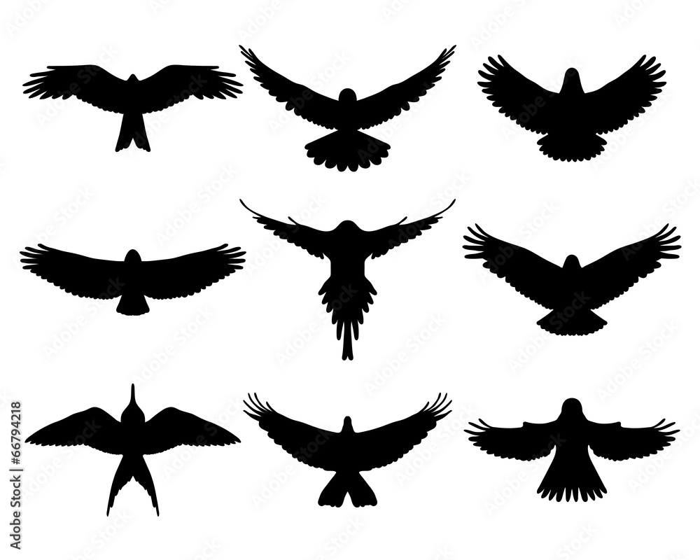 Naklejka premium Black silhouettes of birds in flight, vector