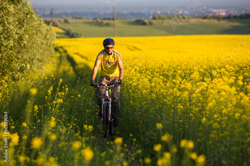 Mtb biker is cycling in yellow rapeseed field