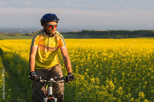 Mtb biker is cycling in yellow rapeseed field