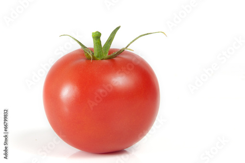 Wallpaper Mural Single Tomato Torontodigital.ca