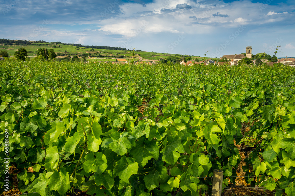 Village viticole de Bourgogne