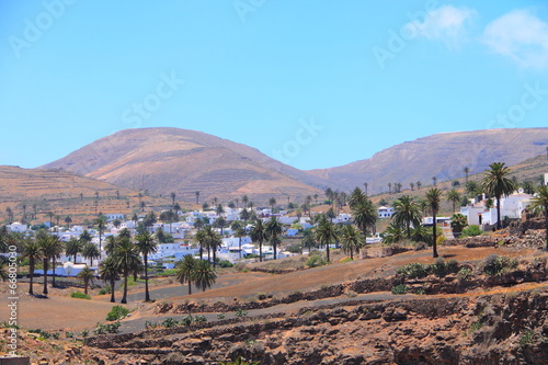 Haria, das Tal der tausend Palmen, Lanzarote photo