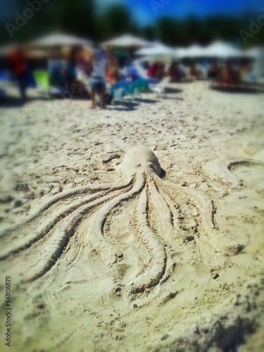 Sandy Octopus