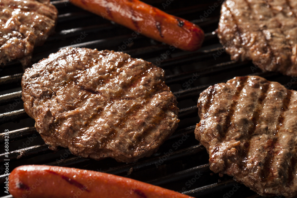Hamburgers and Hot Dogs on the Grill Hamburgers and Hot Dogs on the Grill