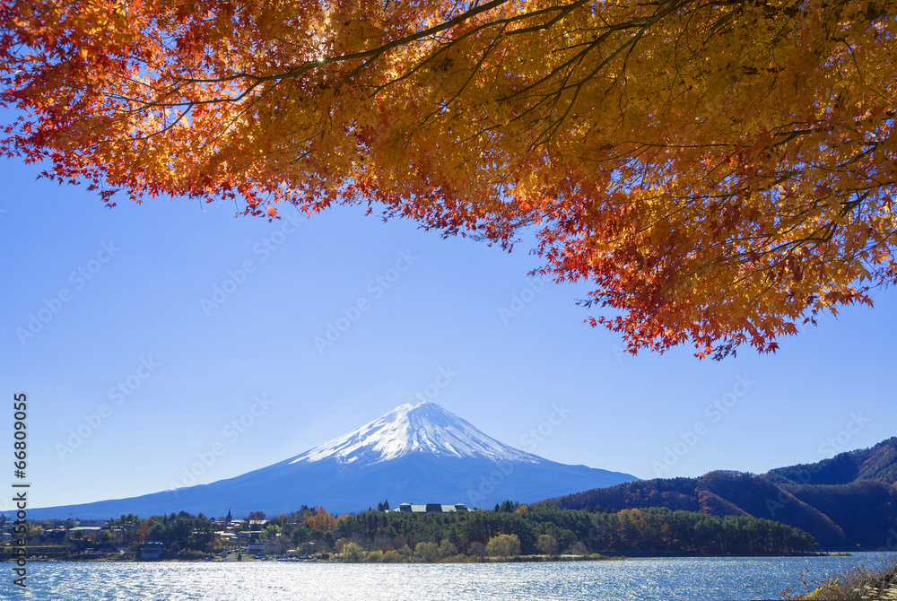 Fototapeta premium 富士山と紅葉