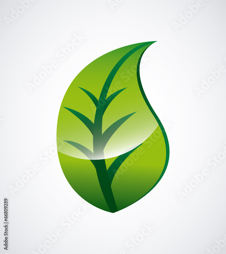 Ecology design
