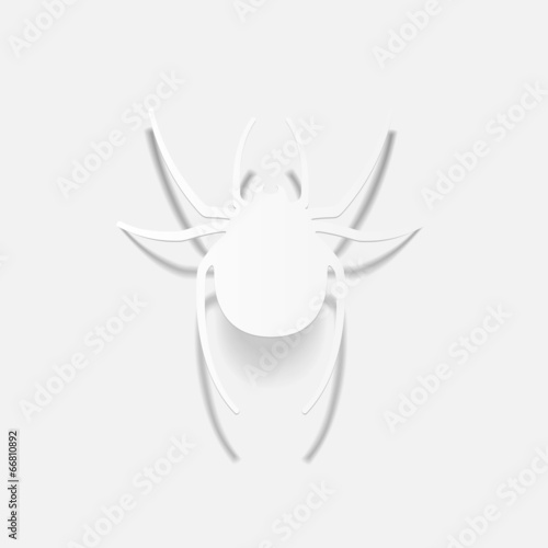 realistic design element: spider