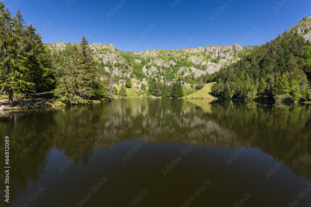 Lac et forêt en montagne