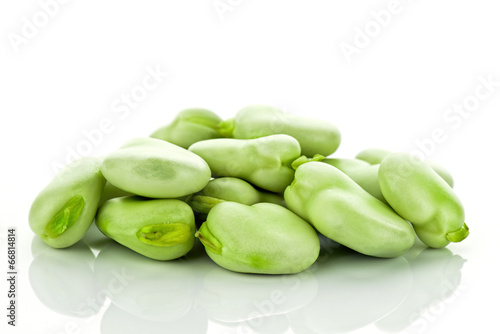 Wallpaper Mural Bób na białym tle Torontodigital.ca