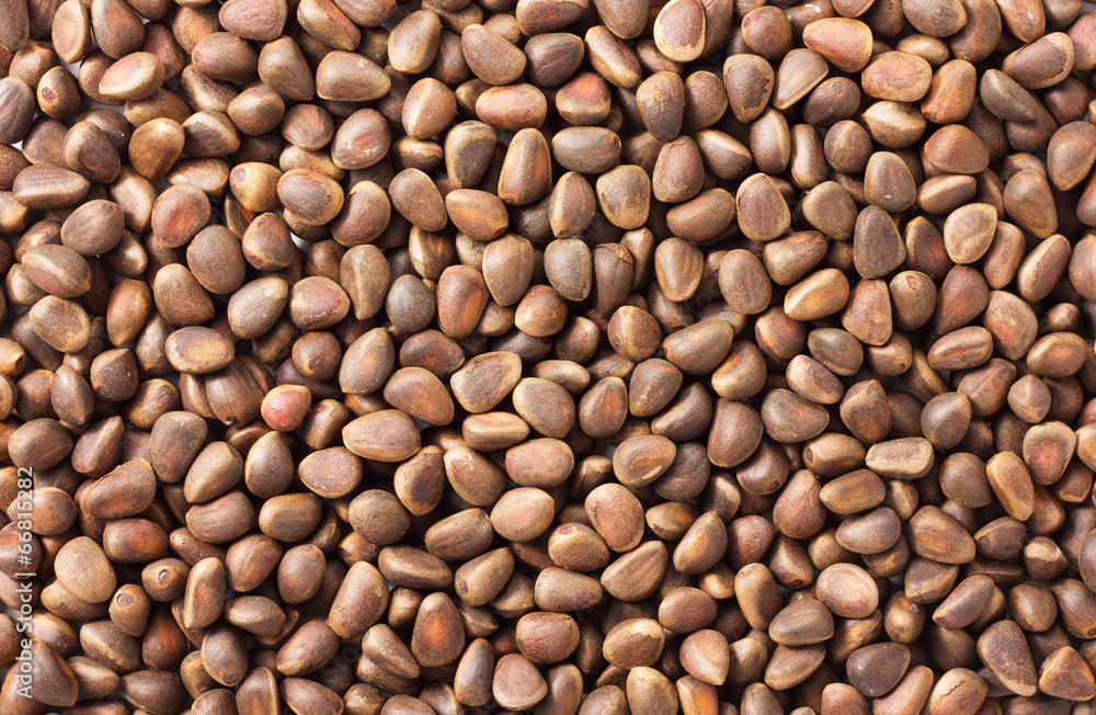 Pine nuts background Pine nuts background