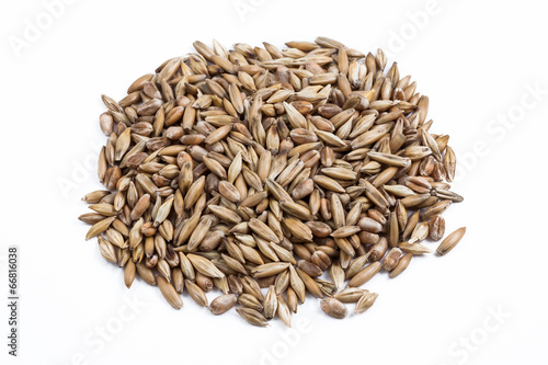 Heap of wheat seed