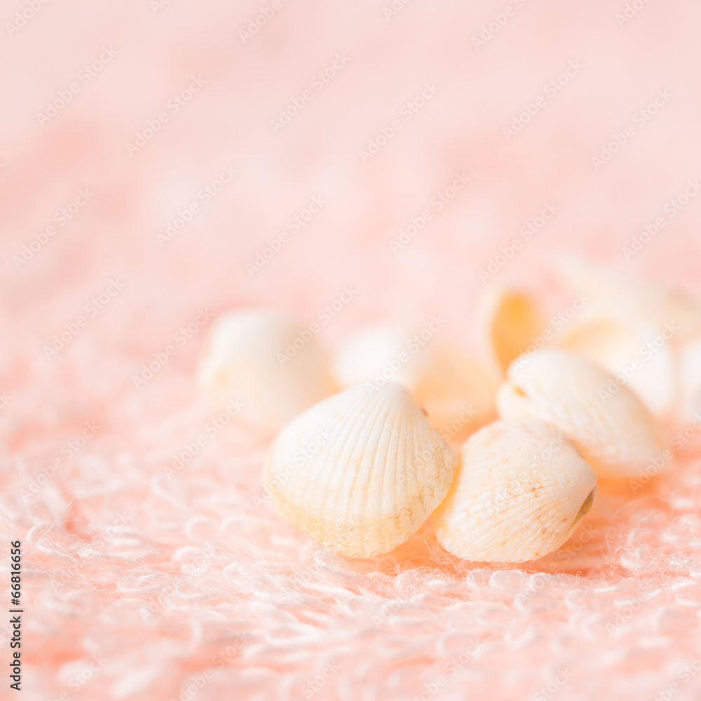 light sea shells on soft pink terry texture, closeup light sea shells on soft pink terry texture, closeup