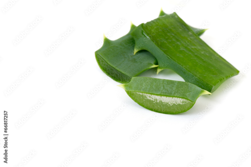 Aloe vera isolated on white Aloe vera isolated on white