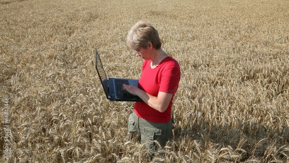 Agricultural expert inspect wheat quality using laptop, agronomy Agricultural expert inspect wheat quality using laptop, agronomy