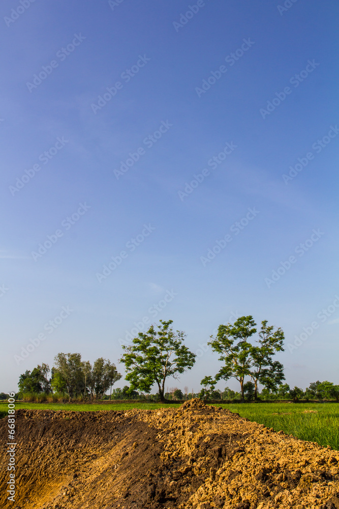 Mound of wells without water, often seen in paddy fields Mound of wells without water, often seen in paddy fields