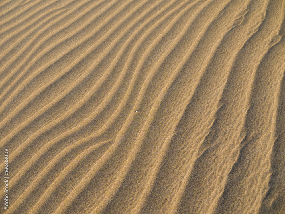 Windformationen in den Dünen von Maspalomas Windformationen in den Dünen von Maspalomas