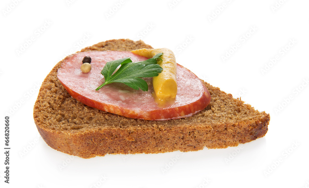 Piece of rye bread with sausage and the spices Piece of rye bread with sausage and the spices