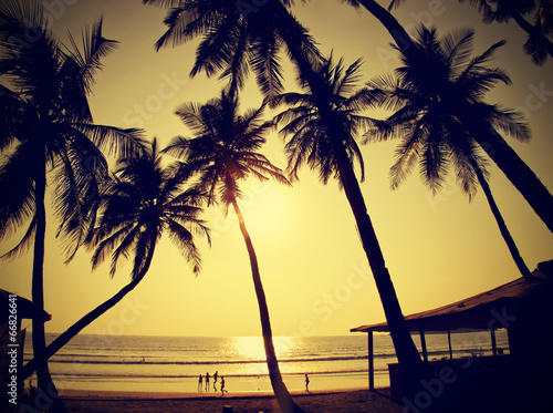 Palms silhouettes against sun, vintage retro style, Goa, India. © MaciejBledowski