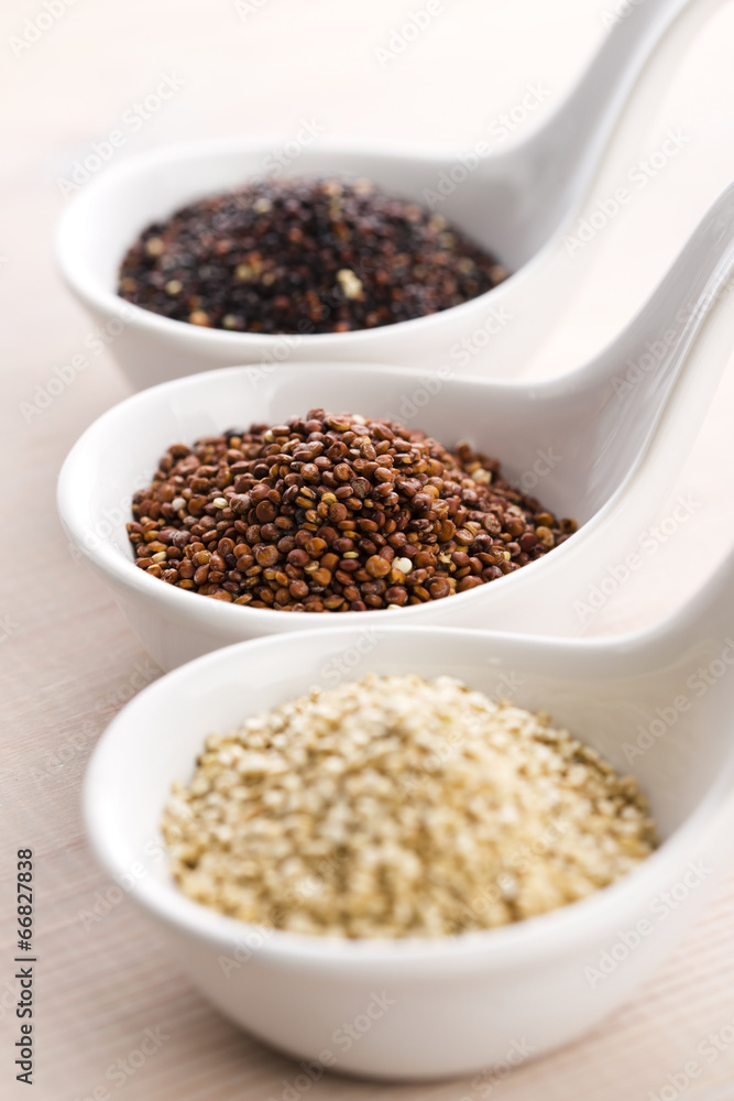 Quinoa grain Quinoa grain