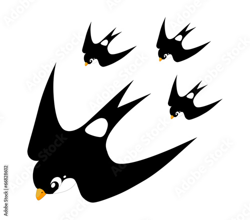 Cute baby swallow cartoon