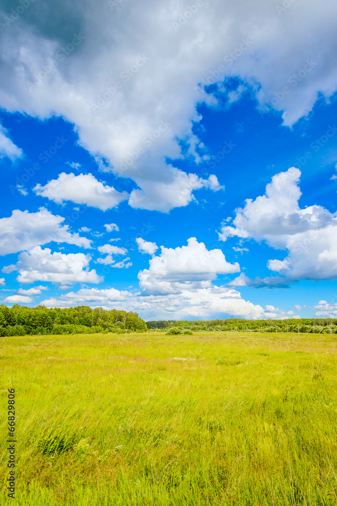 Fototapeta premium prairie landscape and sky