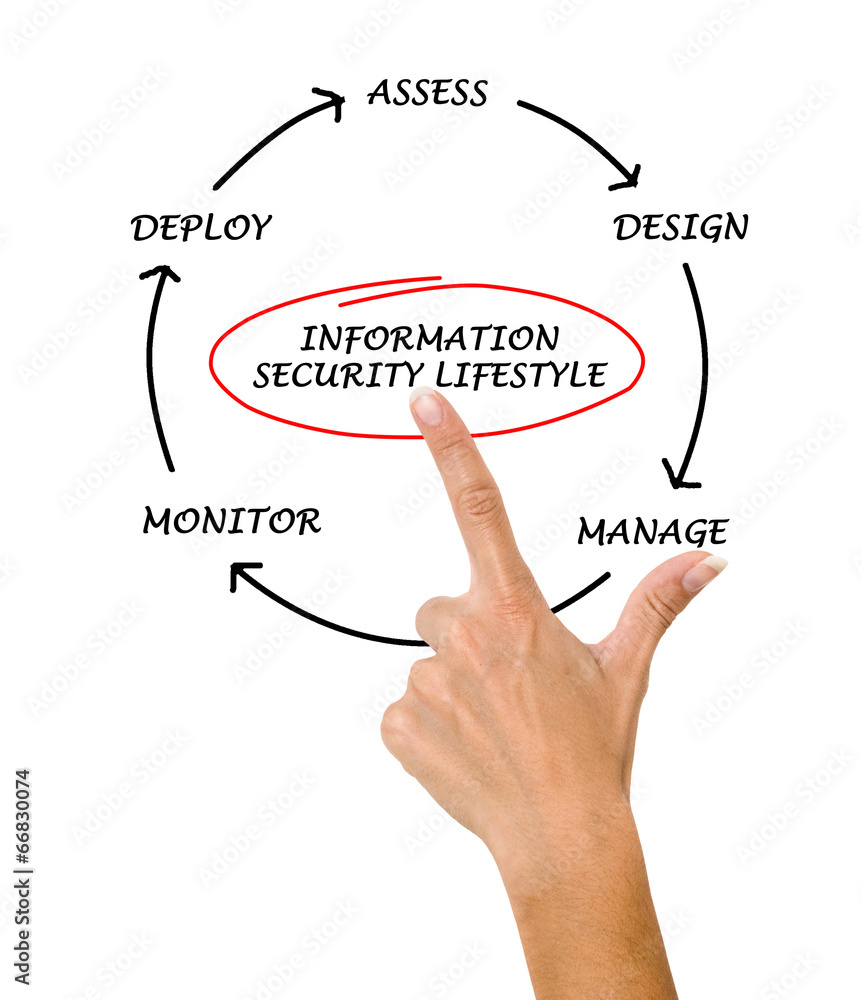 Diagram of information security lifecycle Diagram of information security lifecycle
