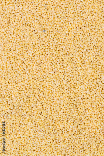 Millet Background